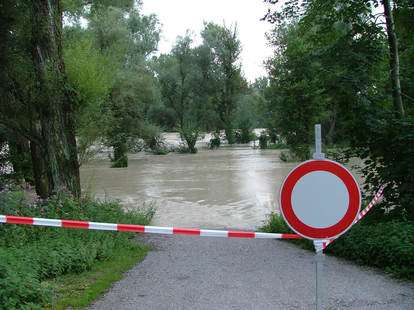 A red and white sign is near the water