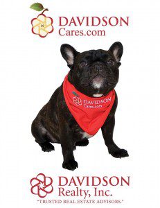 A black dog wearing a red bandanna sitting on top of a table.