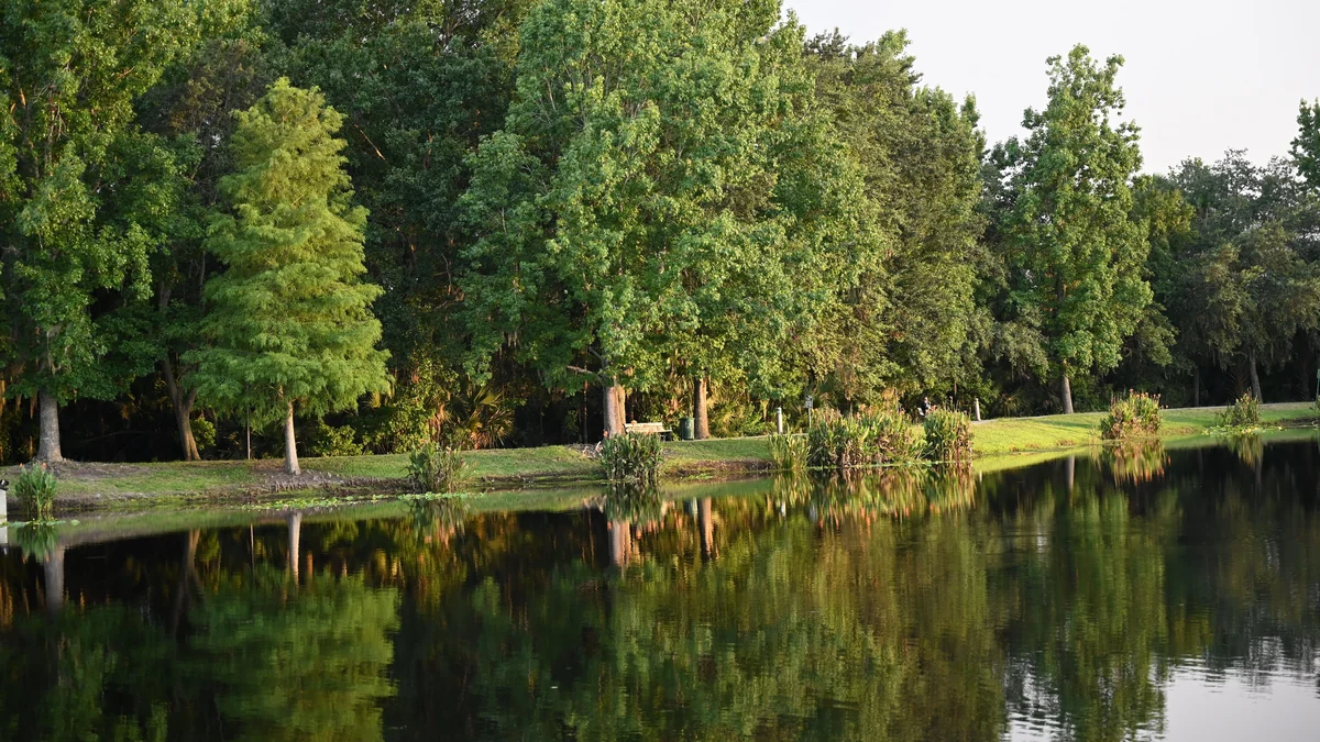 Tall green trees reflected in a calm lake on a clear day in Central Florida
